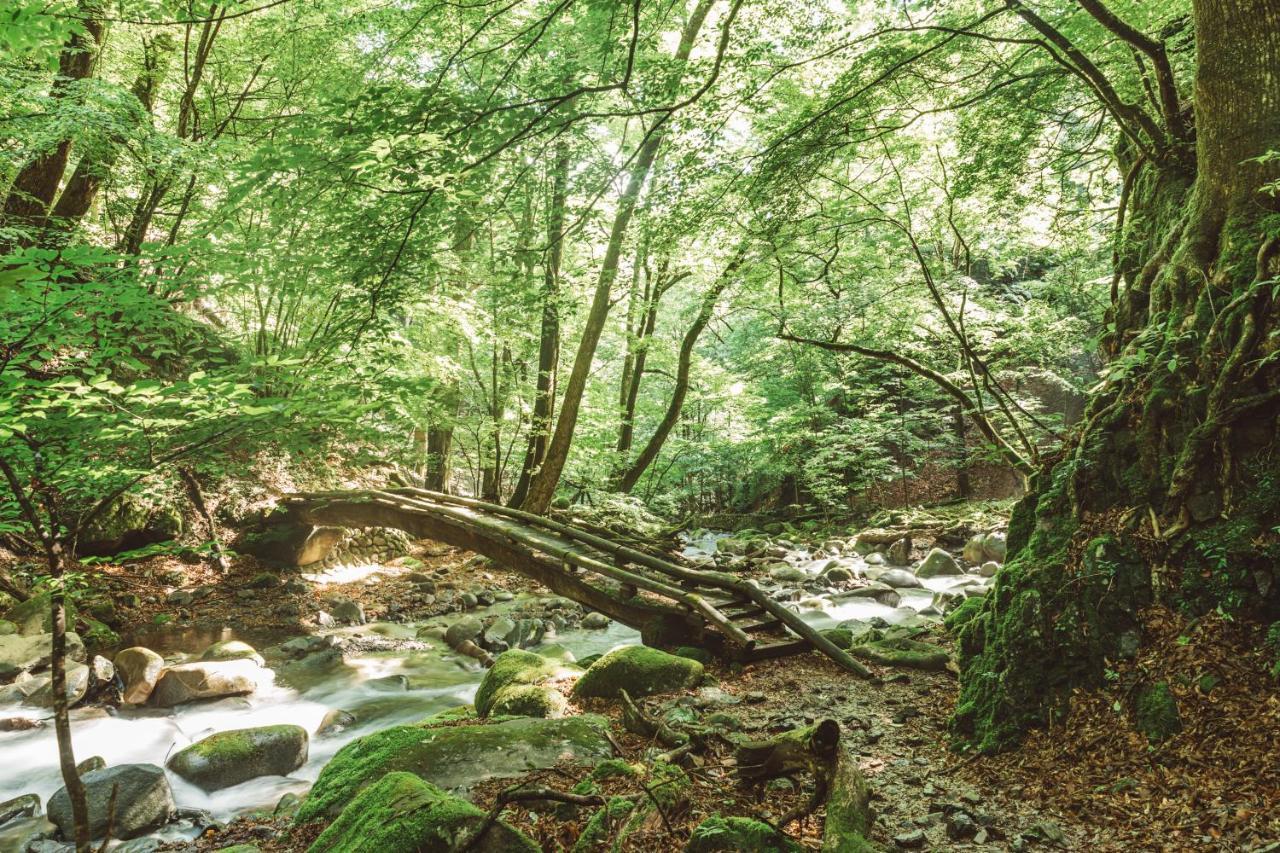 Nipponia Kosuge Village Kültér fotó